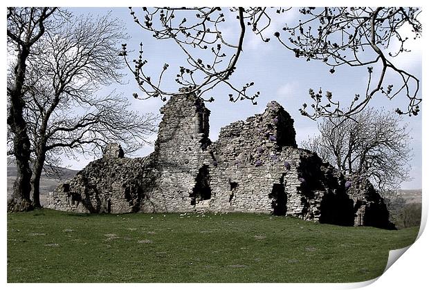 Castle Ruin Print by Matt Cochrane