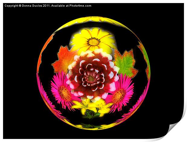 Flower Sphere Print by Donna Duclos
