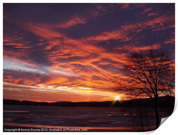 Winter Sunset Print by Donna Duclos