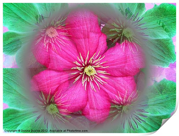 Flower illusion Print by Donna Duclos