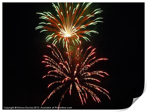 Fireworks Print by Donna Duclos