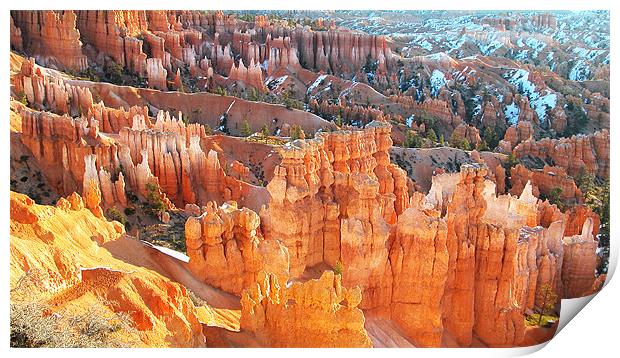 Bryce Canyon National Park Print by Ian Collins