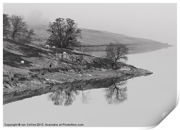 Elan Valley Reflections Print by Ian Collins