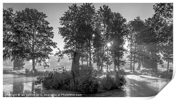 Misty Lake Print by Ian Collins