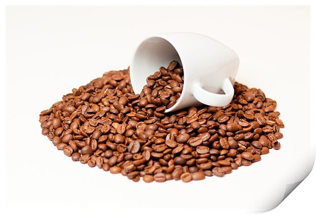 Coffee Beans in a White Mug Print by Andrew Berry