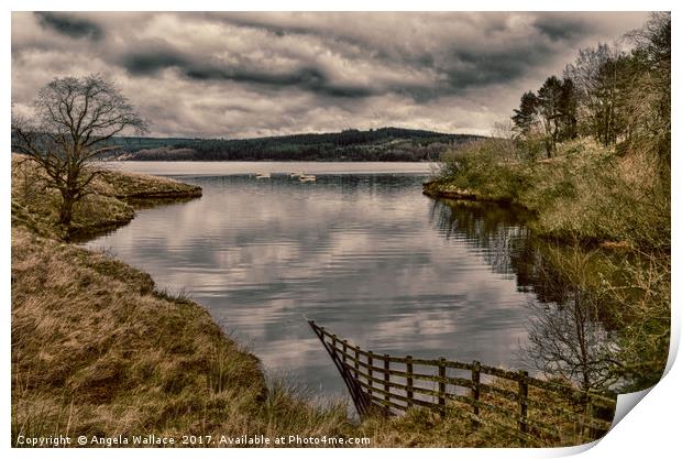 kielder by the lake                    Print by Angela Wallace