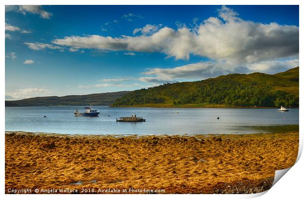 The Sound of Mull                 Print by Angela Wallace