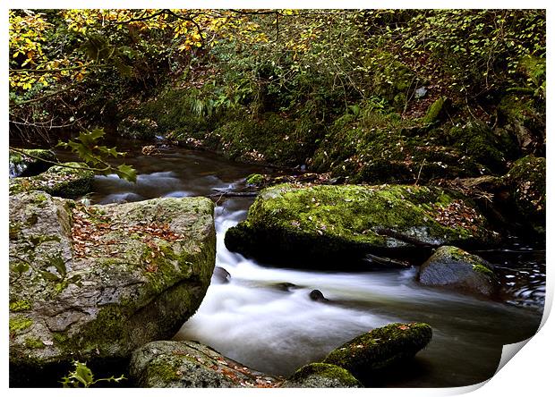 East Lyn River Print by Dave Wilkinson North Devon Ph