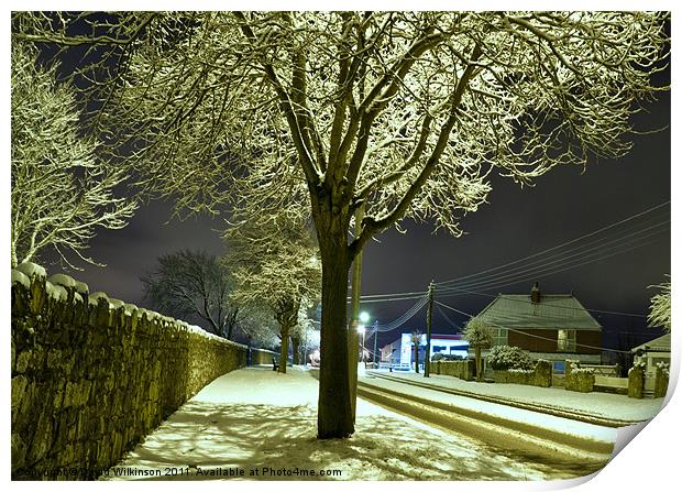 Snow Tree Print by Dave Wilkinson North Devon Ph