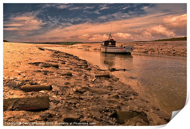 Topaz Print by Dave Wilkinson North Devon Ph