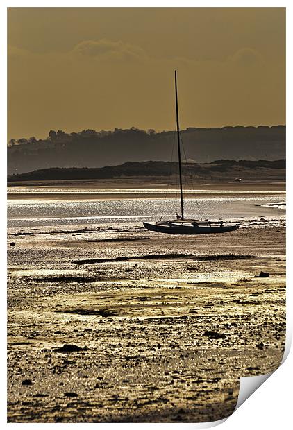 Sailing Dinghy Print by Dave Wilkinson North Devon Ph