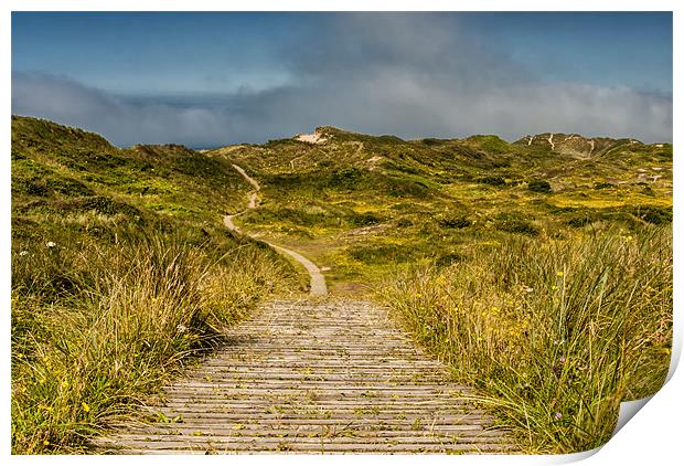 Braunton Burrows Print by Dave Wilkinson North Devon Ph