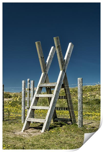 Braunton Burrows Print by Dave Wilkinson North Devon Ph