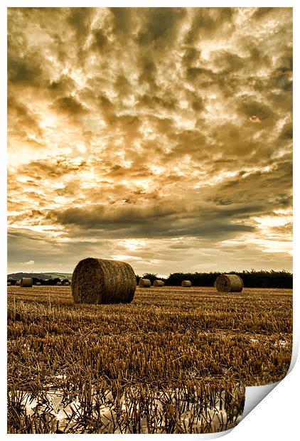 Straw Bales Print by Dave Wilkinson North Devon Ph