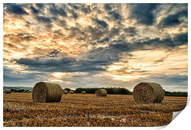 Straw Bales Print by Dave Wilkinson North Devon Ph