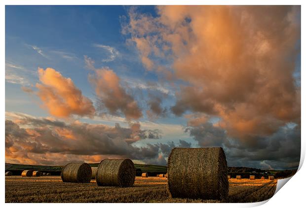 Straw Bales Print by Dave Wilkinson North Devon Ph