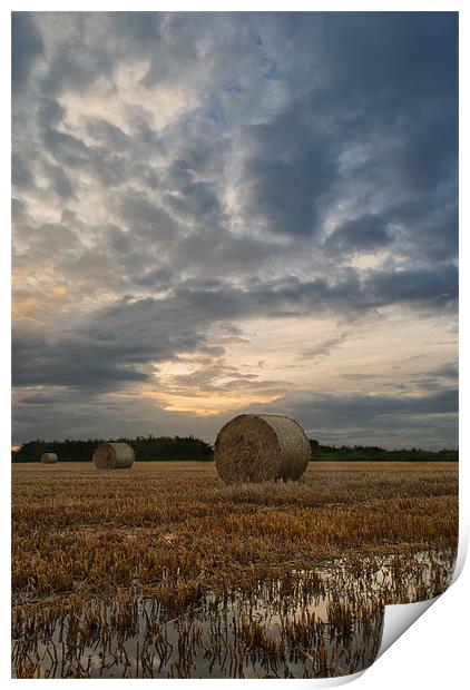 Straw Bales Print by Dave Wilkinson North Devon Ph