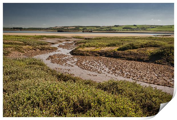 Salt Marsh Print by Dave Wilkinson North Devon Ph