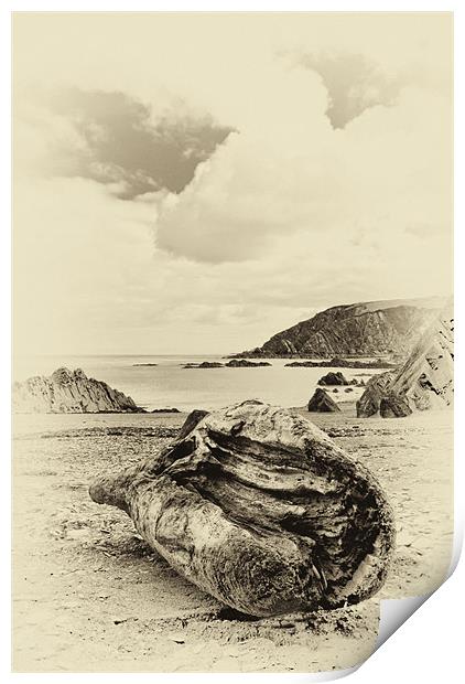 Lee Bay Nr Ilfracombe Print by Dave Wilkinson North Devon Ph