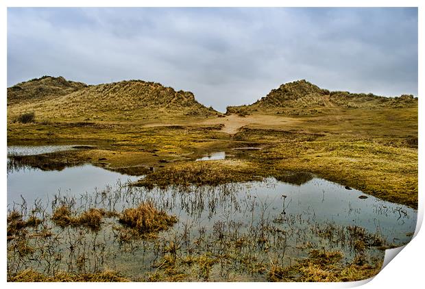 Braunton Burrows Print by Dave Wilkinson North Devon Ph