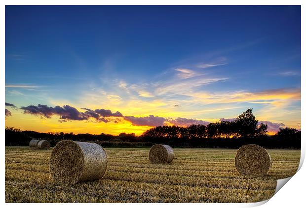 Braunton Greatfield North Devon Print by Dave Wilkinson North Devon Ph