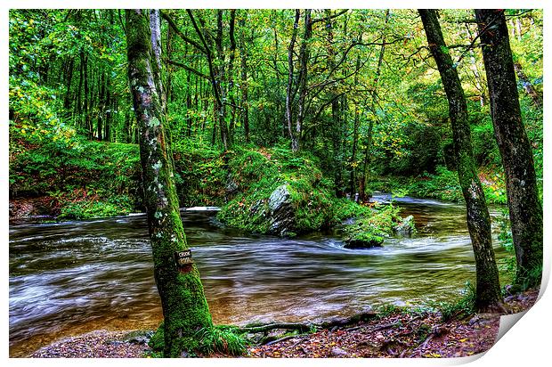 East Lyn river North Devon Print by Dave Wilkinson North Devon Ph