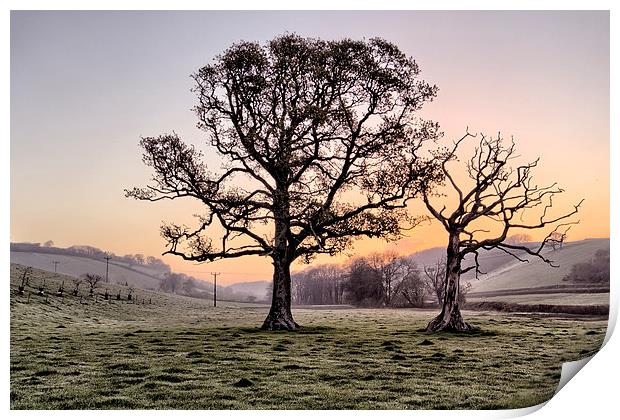North Devon Sunrise Print by Dave Wilkinson North Devon Ph