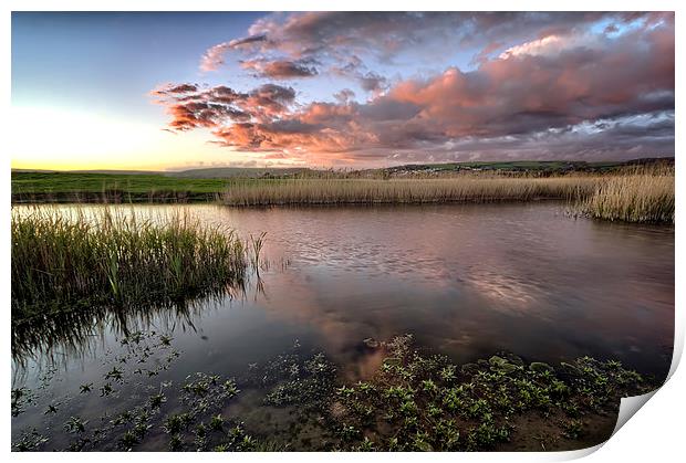 Duck Ponds Print by Dave Wilkinson North Devon Ph