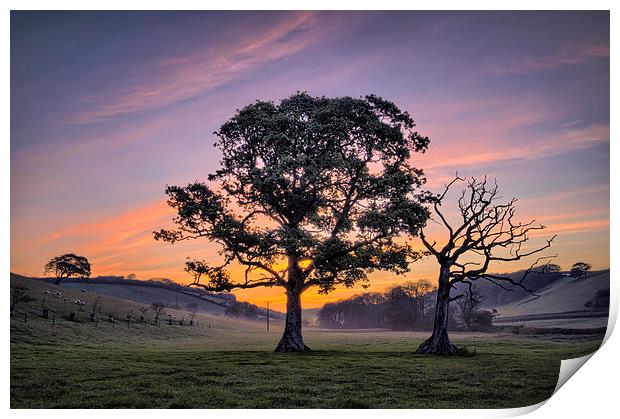 North Devon Sunrise Print by Dave Wilkinson North Devon Ph