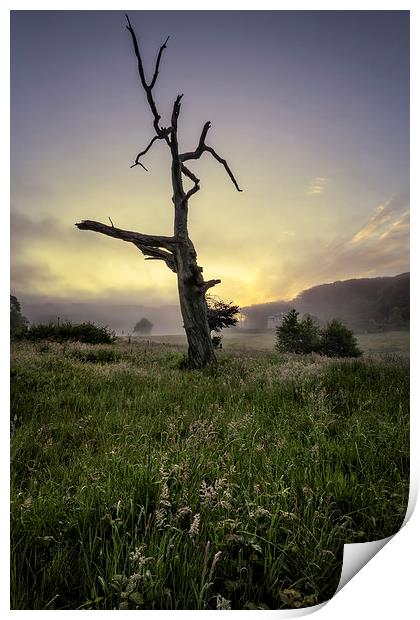 Misty summer sunrise Print by Dave Wilkinson North Devon Ph