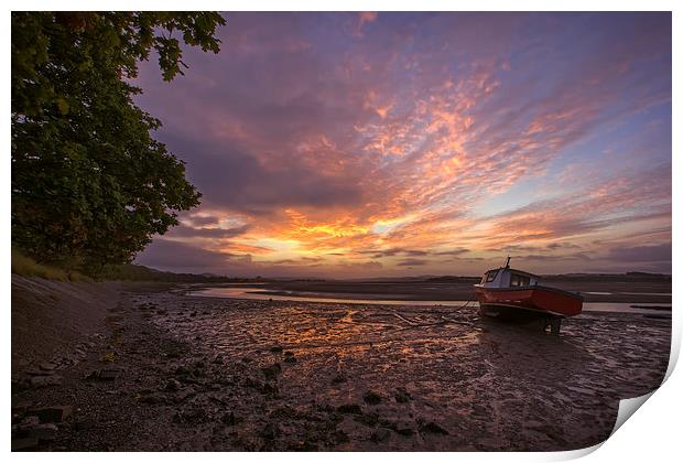   River Taw sunrise. Print by Dave Wilkinson North Devon Ph