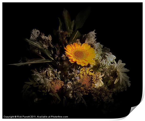 Still Life Flower Bouquet Gerbera Print by Rick Parrott