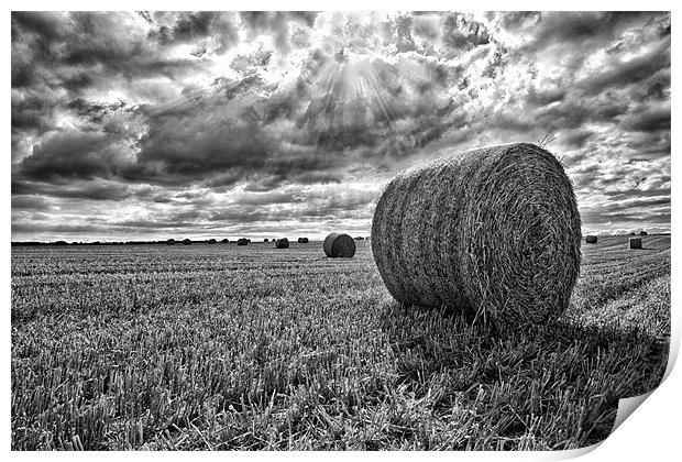 Harvest Time Print by Rick Parrott
