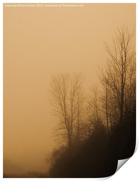 Forest Fog Print by kurt bolton