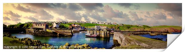 St. Abbs panorama Print by Colin Chipp