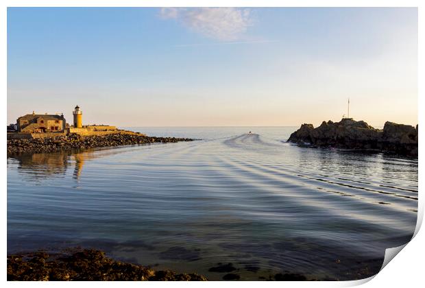 The Harbour Portpatrick Print by Derek Beattie