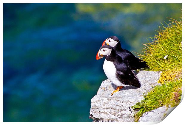 Two Puffins Perching Print by Derek Beattie