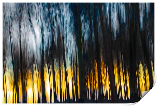 Forest Sunset in the Snow Print by Derek Beattie