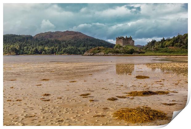 Castle Tioram Scotland Print by Derek Beattie