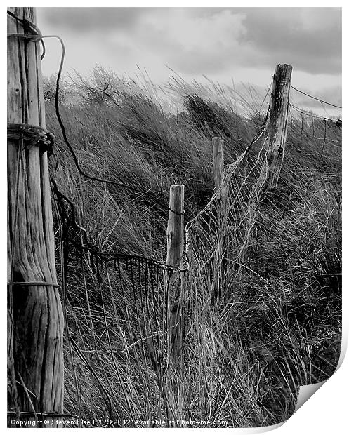 barbed wire fence and grass Print by Steven Else ARPS