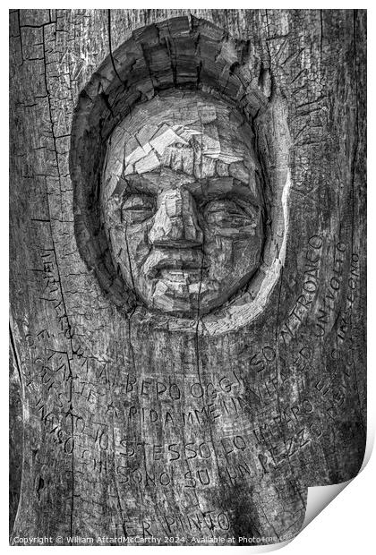 Ancient Echoes: Tree Trunk Art by Andrea Gandini Print by William AttardMcCarthy