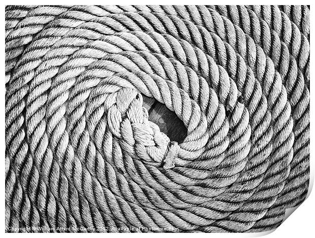 Twirled Rope Print by William AttardMcCarthy