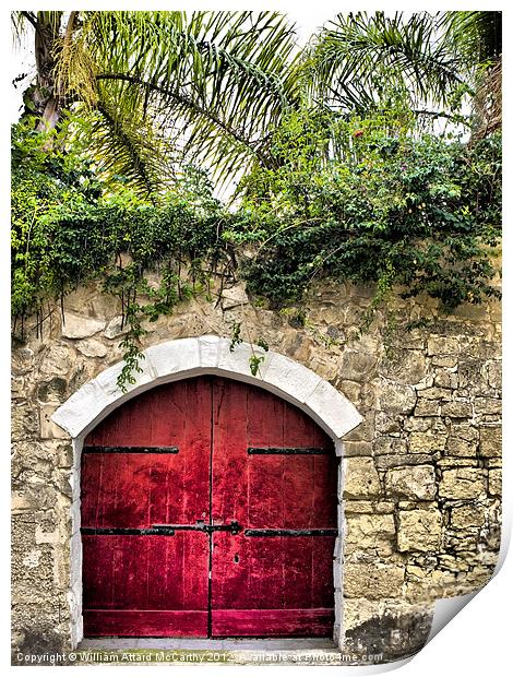 Red Garden Door Print by William AttardMcCarthy