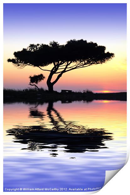 Tranquility at Water's Edge Print by William AttardMcCarthy