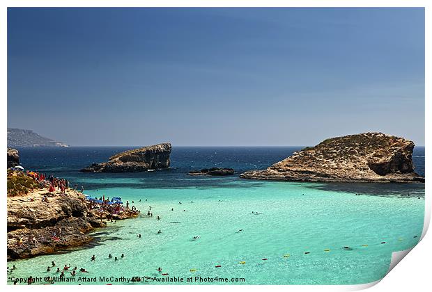 The Blue Lagoon Print by William AttardMcCarthy