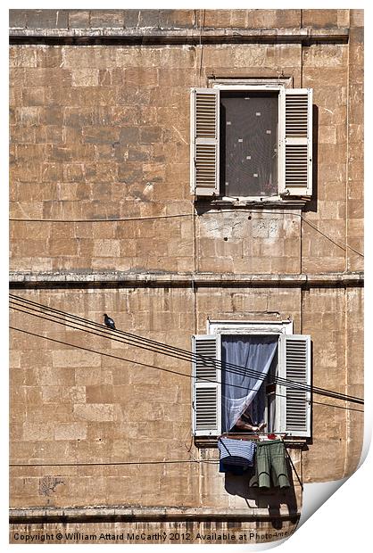 Urban Life in Valletta Print by William AttardMcCarthy