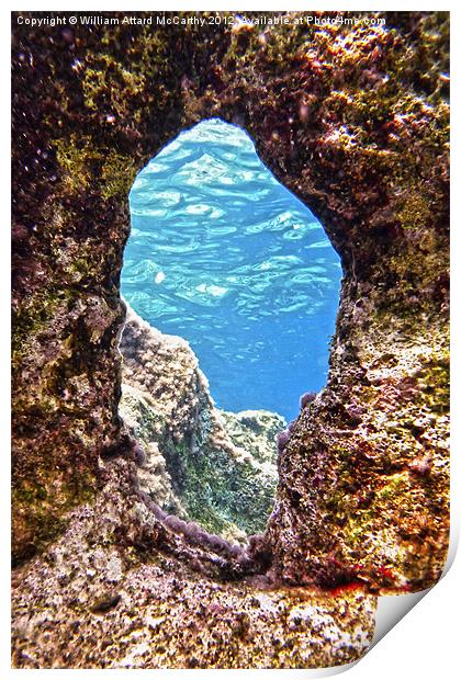 A Mermaid's Bedroom WIndow Print by William AttardMcCarthy