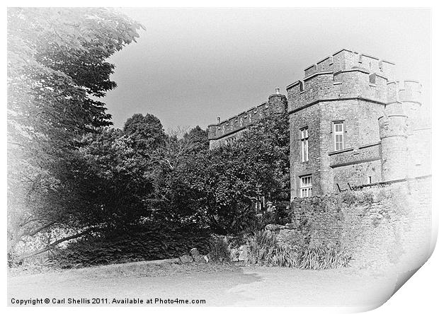 Banwell Castle Print by Carl Shellis