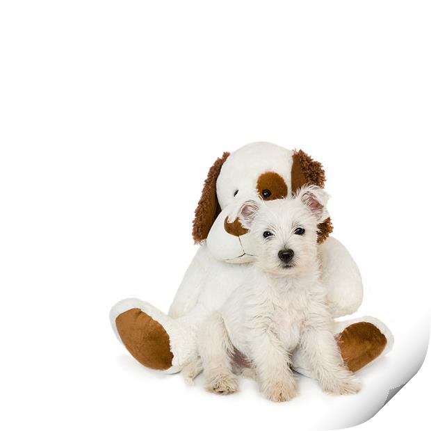 Westie Puppy and Teddy Bear Print by Natalie Kinnear