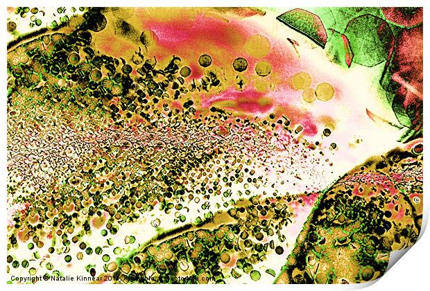 Abstract Leaf and Light V Print by Natalie Kinnear